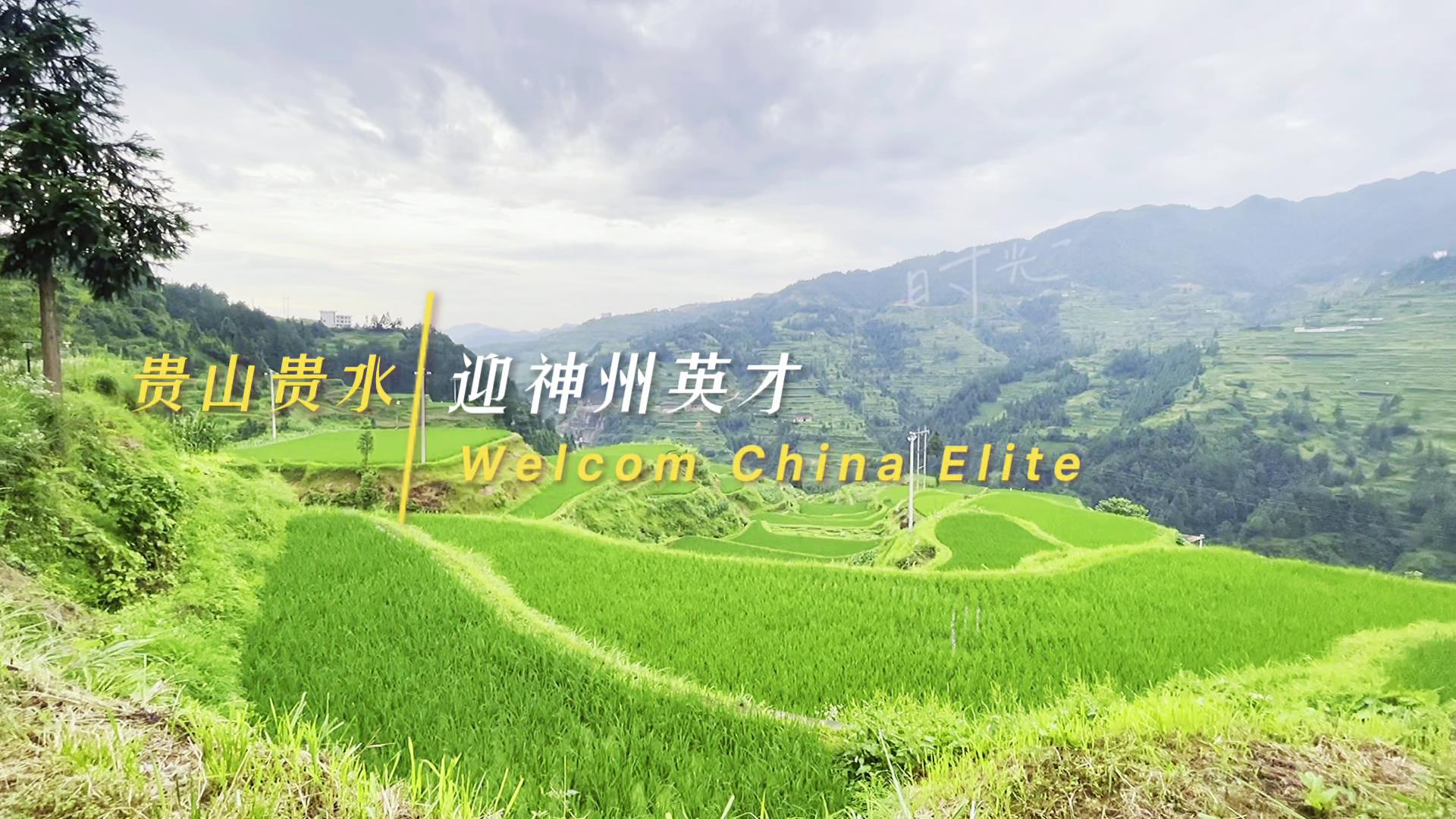 ����Ӣ�������կ���~��ِ������